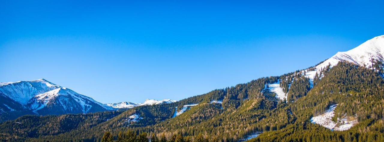 Chalet Sternwarte Хоэнтауэрн Экстерьер фото