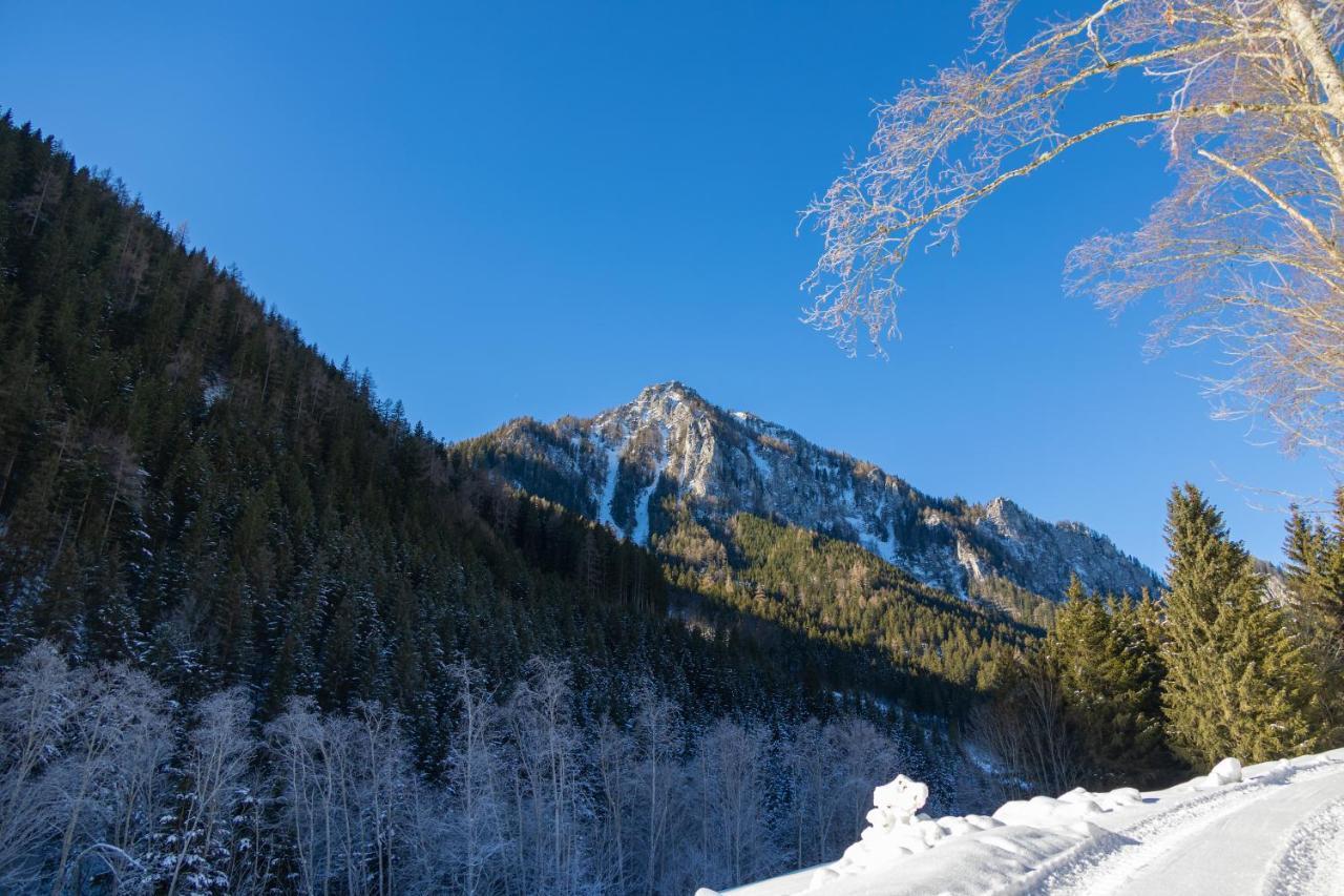 Chalet Sternwarte Хоэнтауэрн Экстерьер фото